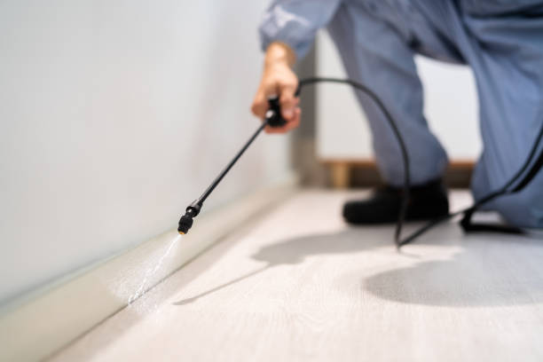 Licensed Termite Control service in Duquesne, PA - Nex Pest Control