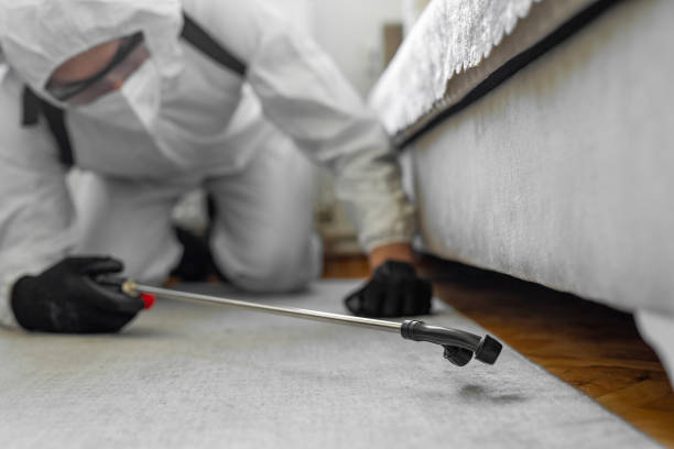 Professional Termite Control technician working in Duquesne, PA