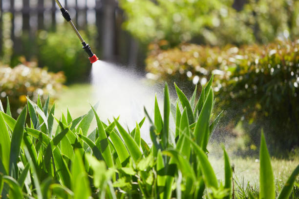 24/7 Emergency Termite Control experts in Duquesne, PA