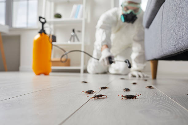 Affordable Termite Control solutions in Duquesne, PA